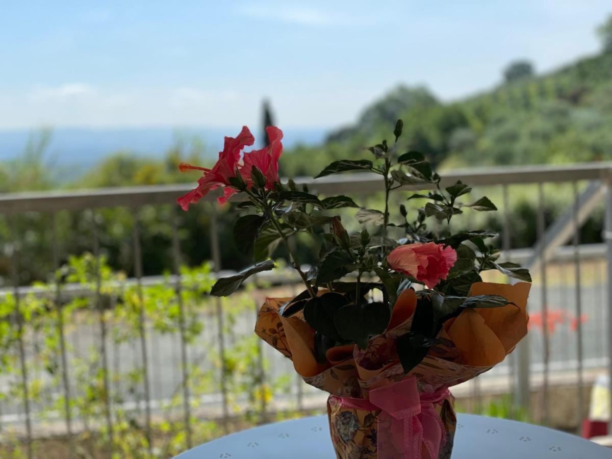 Apartmán A Casa Di Silvia Gambassi Terme Exteriér fotografie