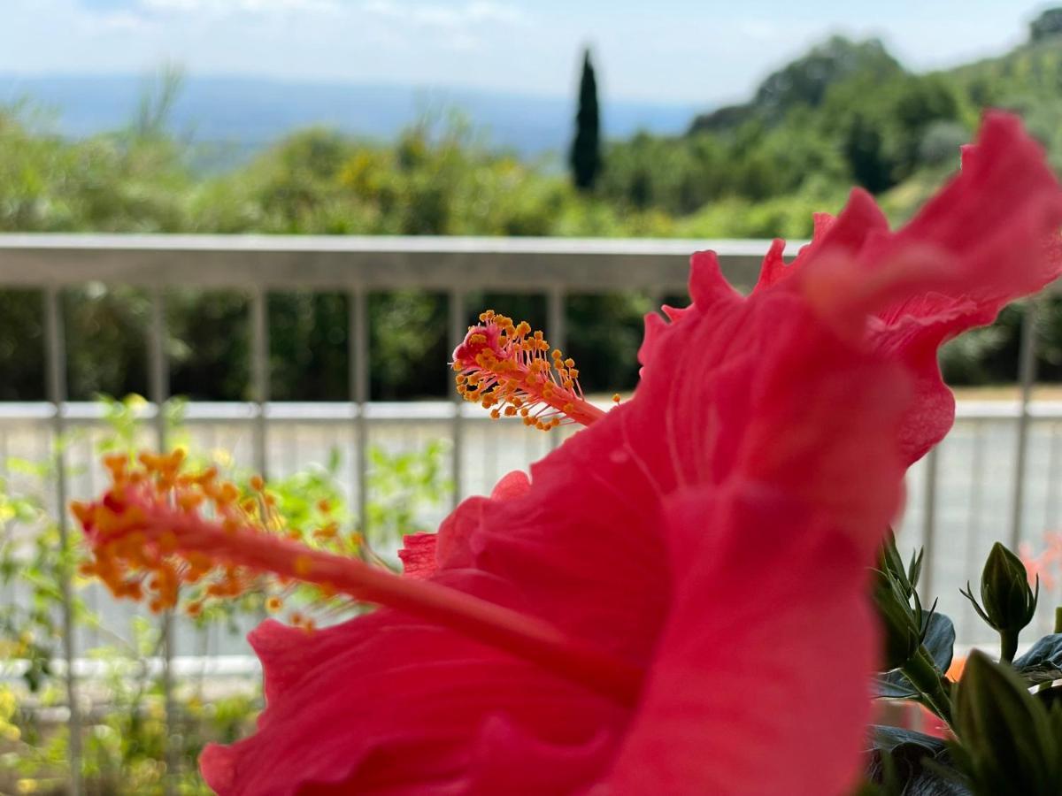 Apartmán A Casa Di Silvia Gambassi Terme Exteriér fotografie