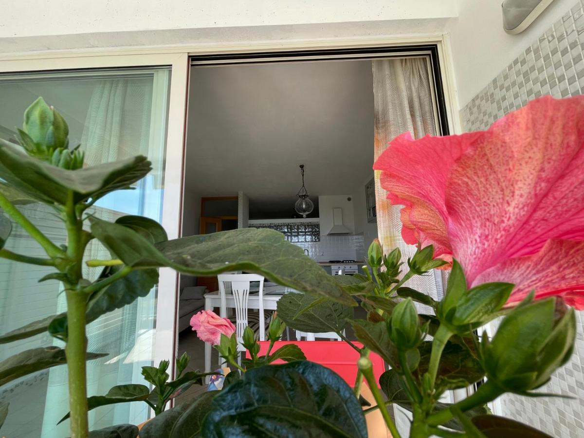 Apartmán A Casa Di Silvia Gambassi Terme Exteriér fotografie