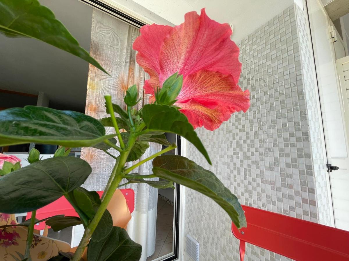 Apartmán A Casa Di Silvia Gambassi Terme Exteriér fotografie