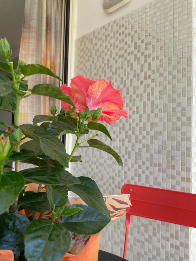 Apartmán A Casa Di Silvia Gambassi Terme Exteriér fotografie