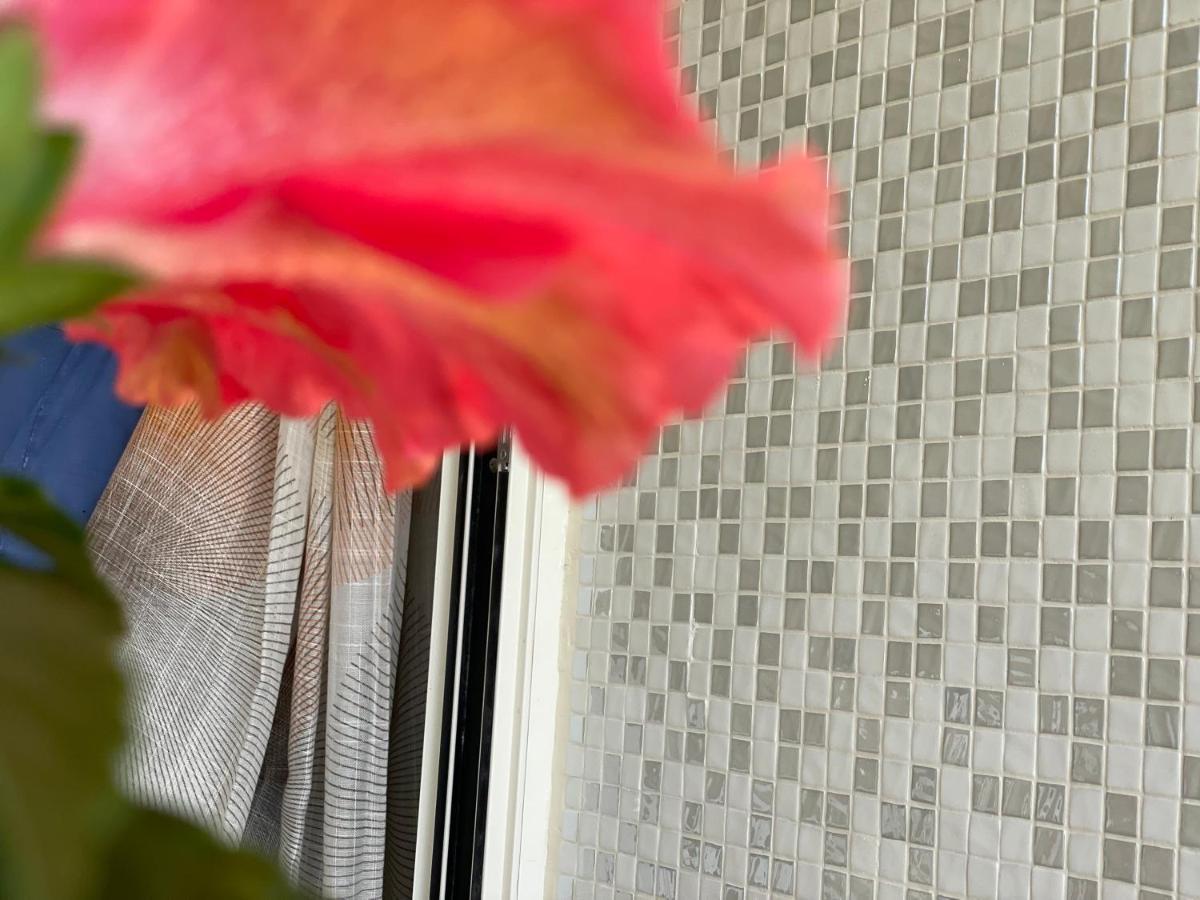 Apartmán A Casa Di Silvia Gambassi Terme Exteriér fotografie